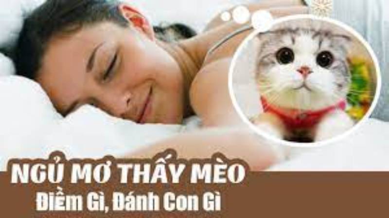 sổ mơ lô đề các con vật