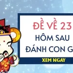 Tại sao phải soi cầu khi đề về 23