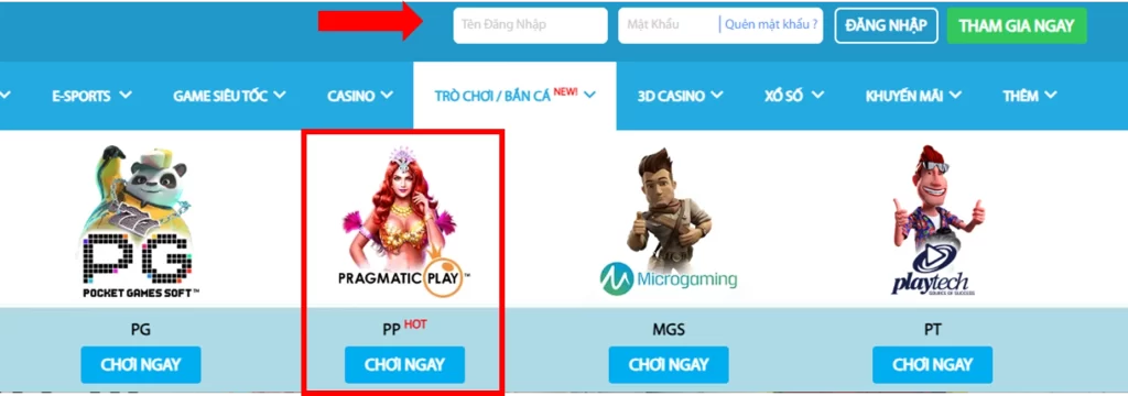 Hướng Dẫn Vào Sảnh PP Slots